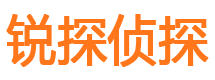 广元市调查公司